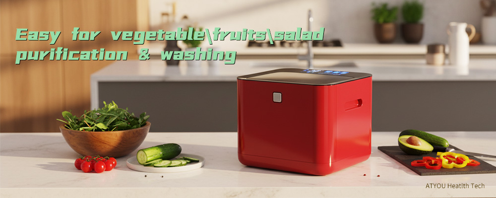 Private label Fruit and vegetable salad ultrasonic washing purifier